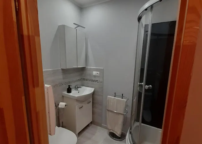 Kamienica Apartment *